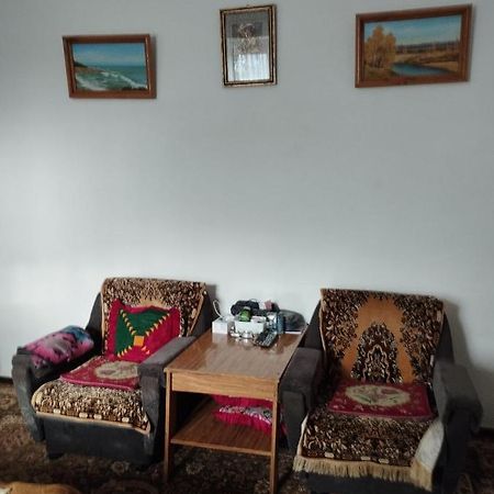 Guest House Sono Adress Derbisheva 202 Karakoł Zewnętrze zdjęcie
