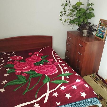 Guest House Sono Adress Derbisheva 202 Karakoł Zewnętrze zdjęcie