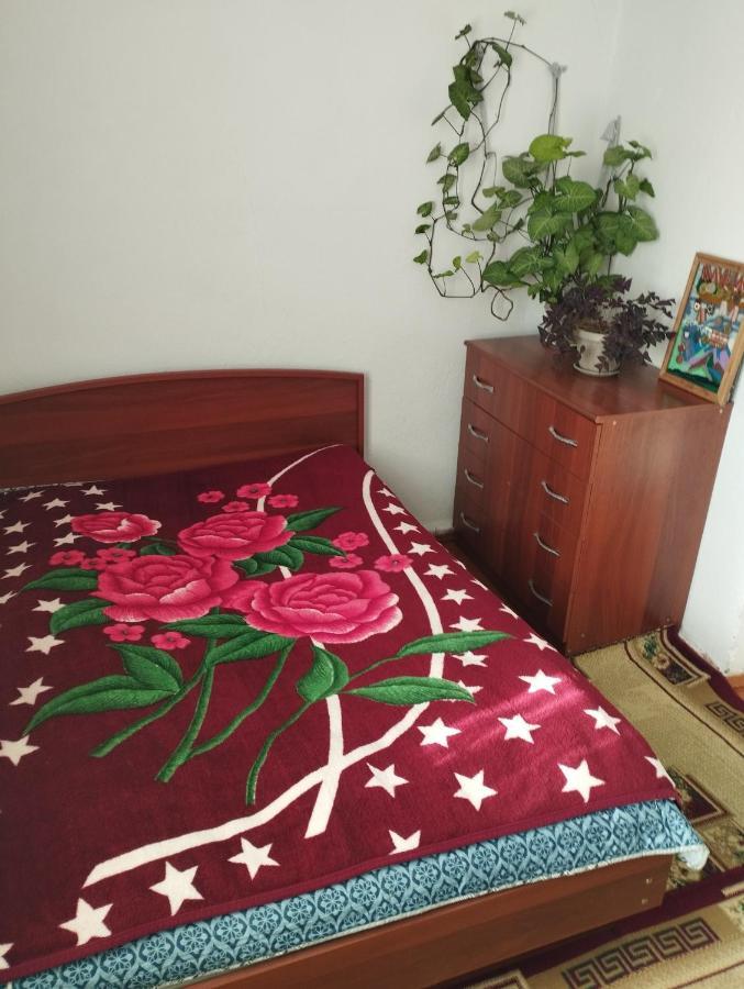Guest House Sono Adress Derbisheva 202 Karakoł Zewnętrze zdjęcie